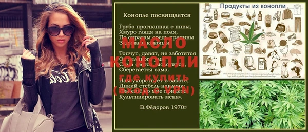 тгк Вяземский