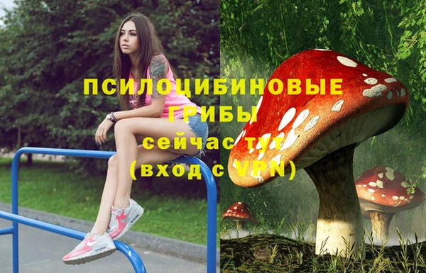 прущая мука Вязники