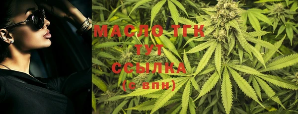тгк Вяземский