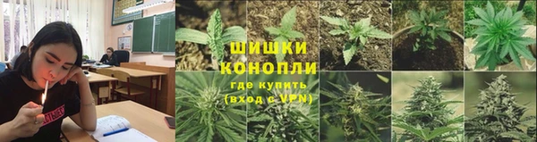дурь Вязьма