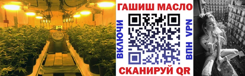 Купить  Каргат  ТГК гашишное масло 