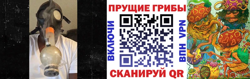 Псилоцибиновые грибы прущие грибы  Купить  Каргат 