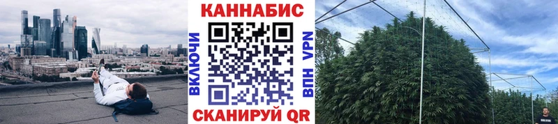 Каннабис Ganja  Купить закладки  Каргат 